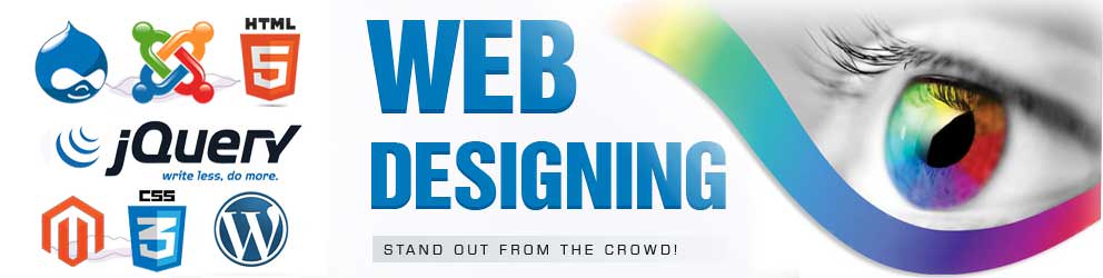 ecommerce web design toronto