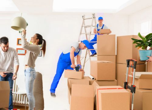 How To Select A Moving Company By Following 7 Simple Steps?