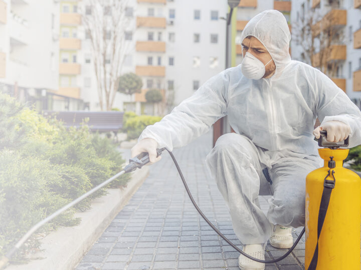 Quality Pest Control Company in Canada for Trusted Services