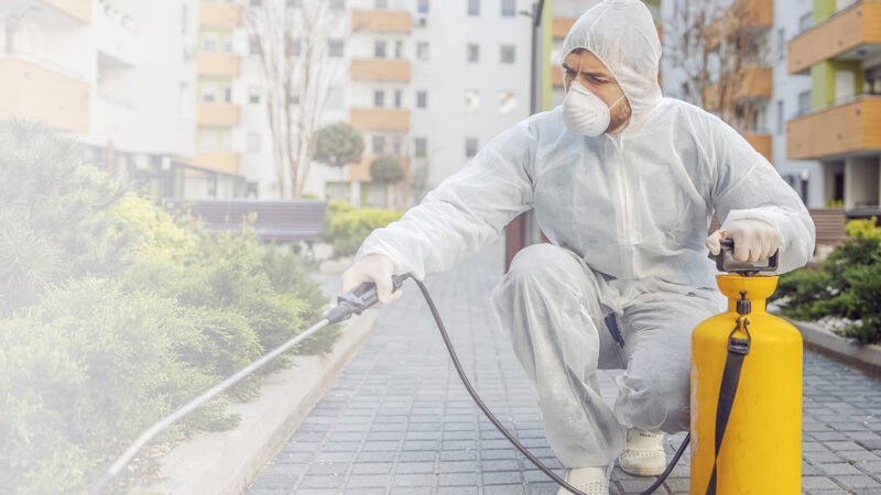 Quality Pest Control Company in Canada for Trusted Services